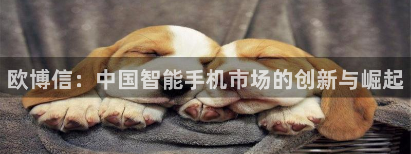 门徒娱乐体育3：欧博信：中国智能手机市场的创新与崛起