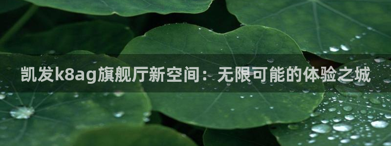 东莞市门徒娱乐电子科技有限公司：凯发k8ag旗舰厅新空间：无限可能的体验之城