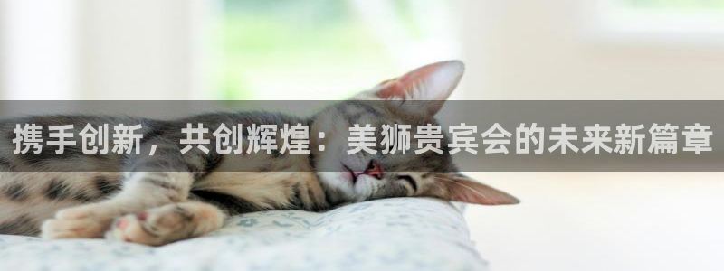 门徒娱乐能源：携手创新，共创辉煌：美狮贵宾会的未来新篇章