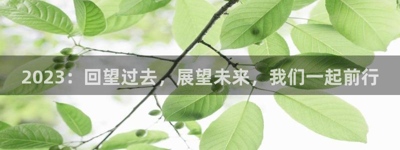 东莞市门徒娱乐电子科技有限公司：2023：回望过去，展望未来，我们一起前行
