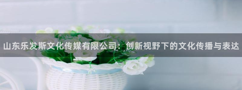 门徒娱乐官网地址：山东乐发斯文化传媒有限公司：创新视野下的文化传播与表达