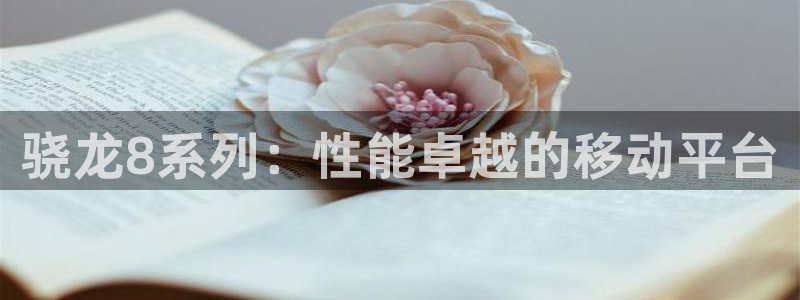 门徒娱乐：骁龙8系列：性能卓越的移动平台