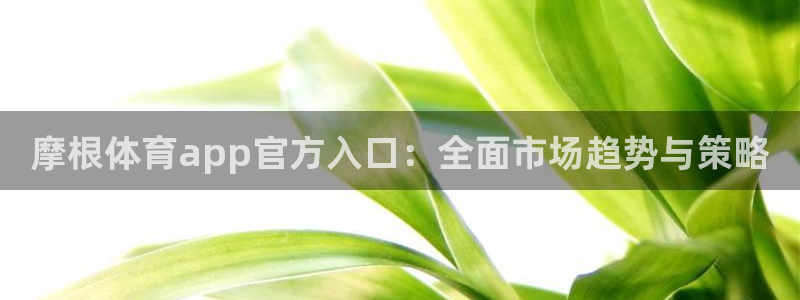 门徒娱乐可靠吗：摩根体育app官方入口：全面市场趋势与策略