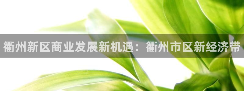 门徒娱乐集团官网：衢州新区商业发展新机遇：衢州市区新经济带