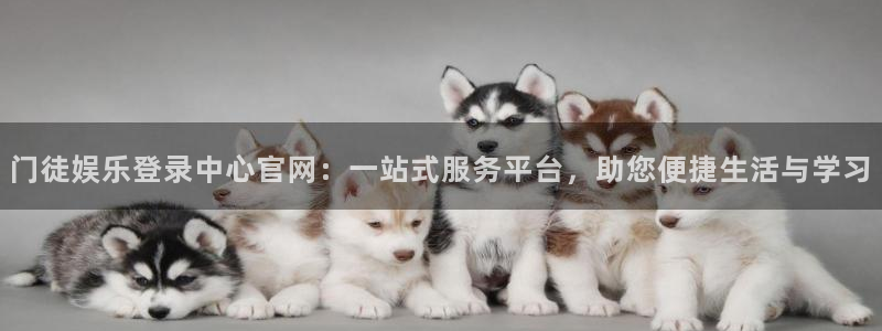 门徒娱乐体育f开号：门徒娱乐登录中心官网：一站式服务平台，助您便捷生活与学习