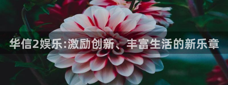 门徒娱乐凯捷平台：华信2娱乐:激励创新、丰富生活的新乐章