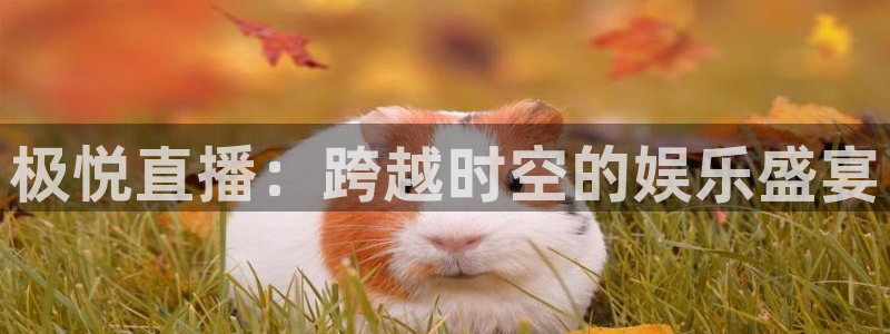 门徒娱乐网站平台登录：极悦直播：跨越时空的娱乐盛宴