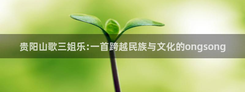 门徒娱乐3代理：贵阳山歌三姐乐:一首跨越民族与文化的ongsong