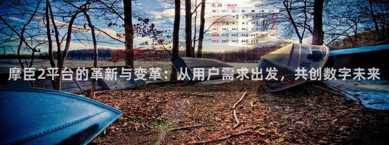 门徒娱乐下载并安装：摩臣2平台的革新与变革：从用户需求出发，共创数字未来