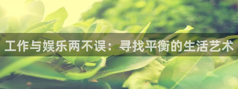 门徒娱乐体育平台开号链接：工作与娱乐两不误：寻找平衡的生活艺术