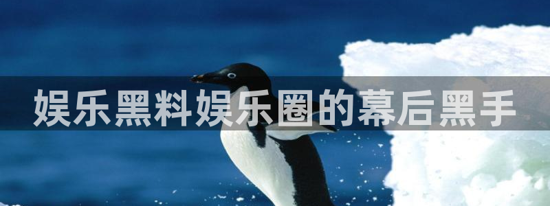 门徒娱乐ccm麻将胡了：娱乐黑料娱乐圈的幕后黑手
