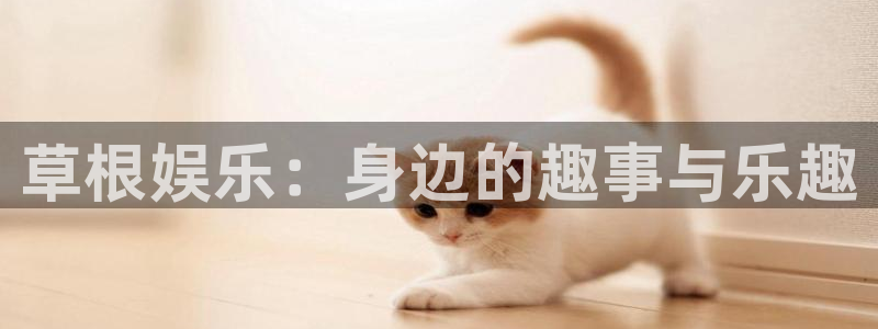 成都门徒娱乐电子有限公司：草根娱乐：身边的趣事与乐趣