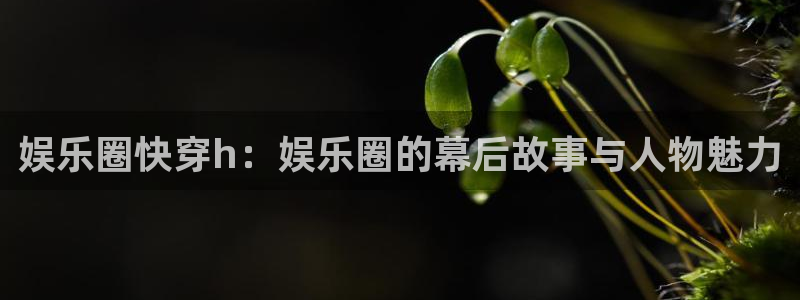 门徒娱乐哪个游戏好爆：娱乐圈快穿h：娱乐圈的幕后故事与人物魅力
