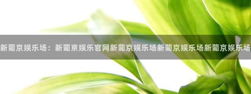 佛山市南海门徒娱乐机电仪器有限公司：新葡京娱乐场：新葡亰娱乐官网新葡京娱乐场新葡