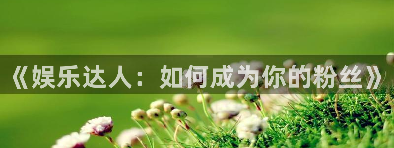 门徒娱乐平台管网入口：《娱乐达人：如何成为你的粉丝》