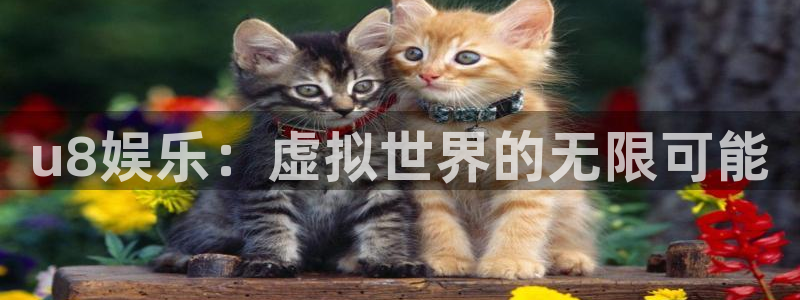 门徒娱乐平台注册入口：u8娱乐：虚拟世界的无限可能