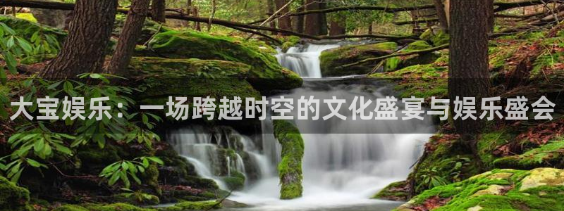 门徒娱乐平台官方入口：大宝娱乐：一场跨越时空的文化盛宴与娱乐盛会