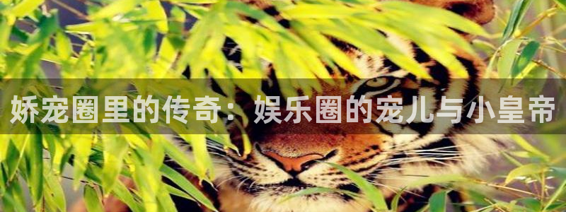 门徒娱乐5注册：娇宠圈里的传奇：娱乐圈的宠儿与小皇帝