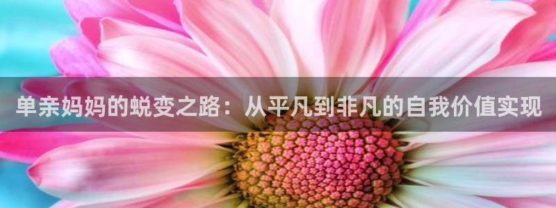 门徒娱乐体育游戏：单亲妈妈的蜕变之路：从平凡到非凡的自我价值实现