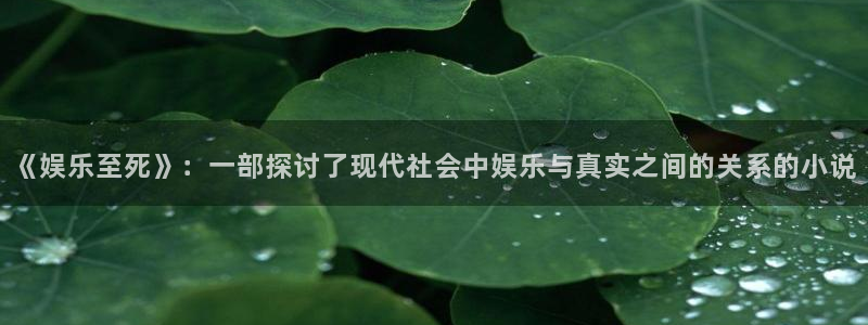 门徒娱乐注册：《娱乐至死》：一部探讨了现代社会中娱乐与真实之间的关系的小说