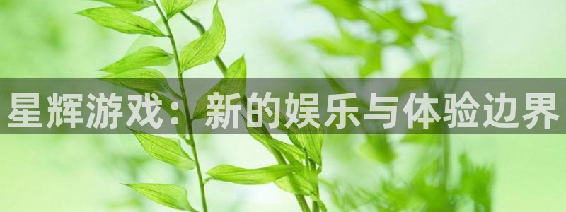 门徒娱乐：星辉游戏：新的娱乐与体验边界