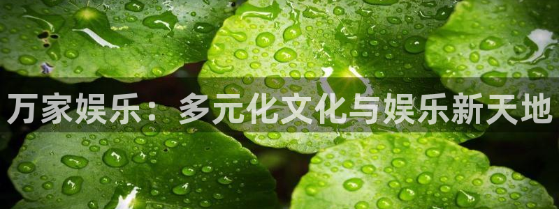 门徒娱乐体育论坛：万家娱乐：多元化文化与娱乐新天地